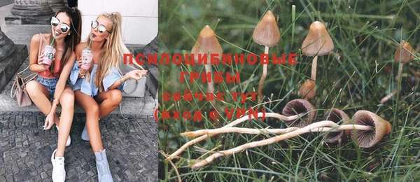 гидропоника Михайловка