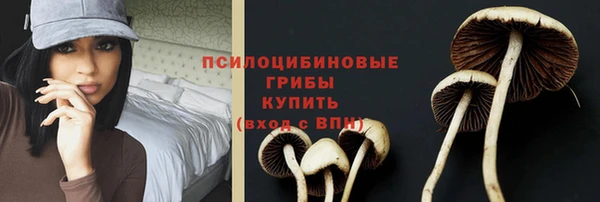 гидропоника Михайловка