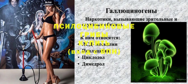 гидропоника Михайловка