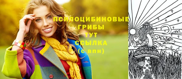 твердый Михайлов