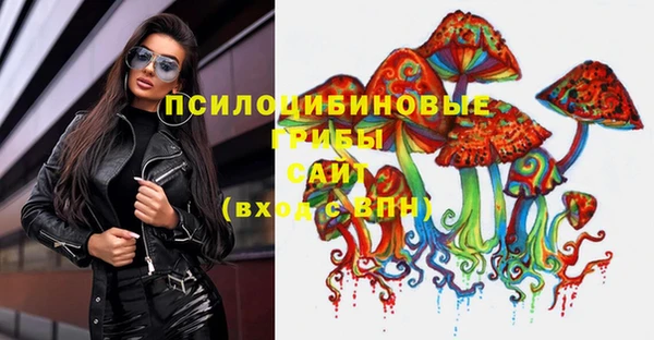 PSILOCYBIN Михайловск