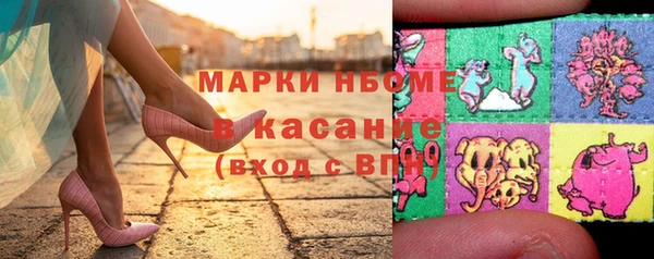 твердый Михайлов