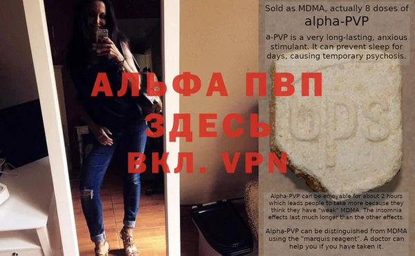 твердый Михайлов