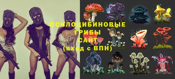 PSILOCYBIN Михайловск