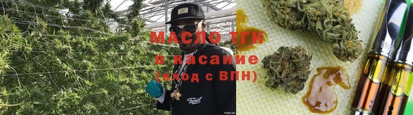 твердый Михайлов