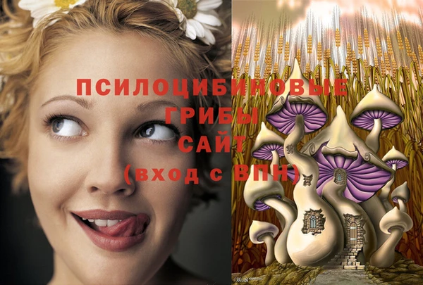 PSILOCYBIN Михайловск