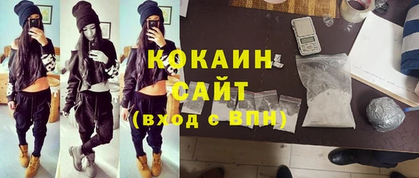 твердый Михайлов