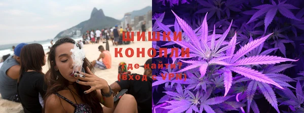 твердый Михайлов