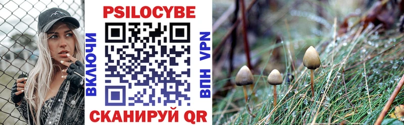 Галлюциногенные грибы Psilocybe  Дрезна 