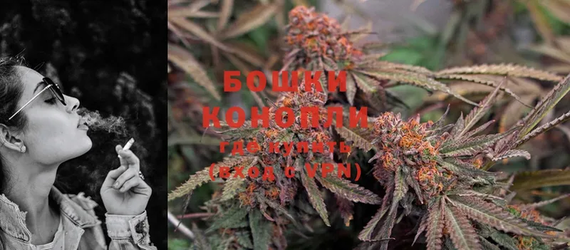 Каннабис SATIVA & INDICA  мориарти клад  Дрезна 